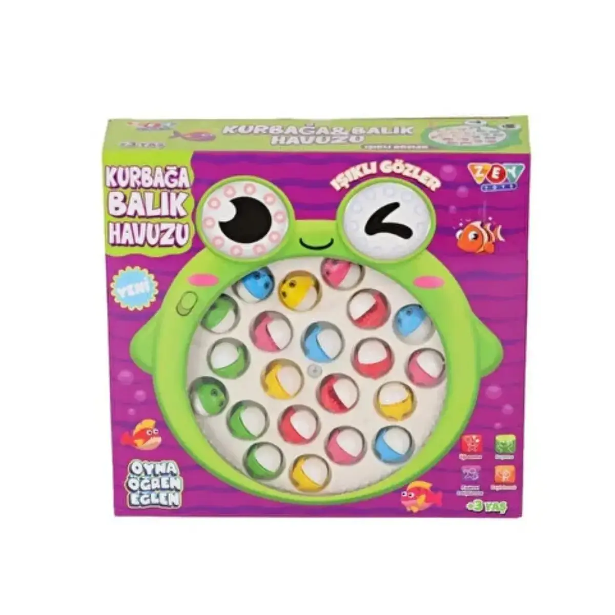 Kurbağa ve Balık Havuzu 