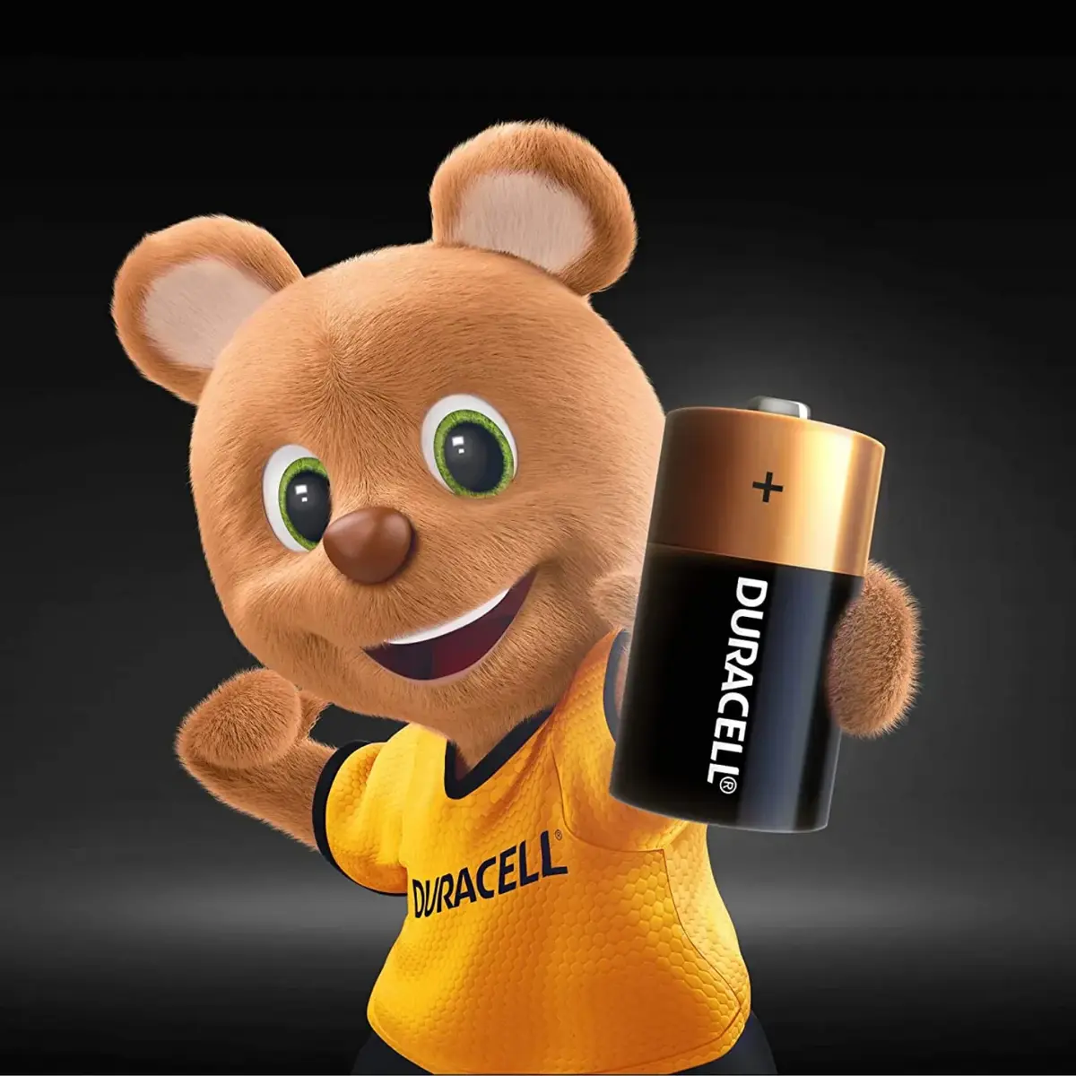 Duracell C Orta Boy Pil 2 li