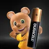 Duracell D Büyük Boy Pil 2 li