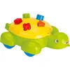 Dolu Caretta Bultak