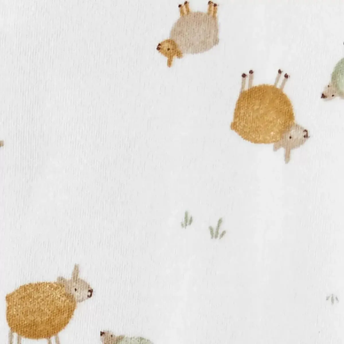 Carter's Tulum Çok Renkli