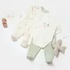 Bibaby Organik Tulum Takımı 3lü Tüllü Tiny Birds Ekru - Yeşil