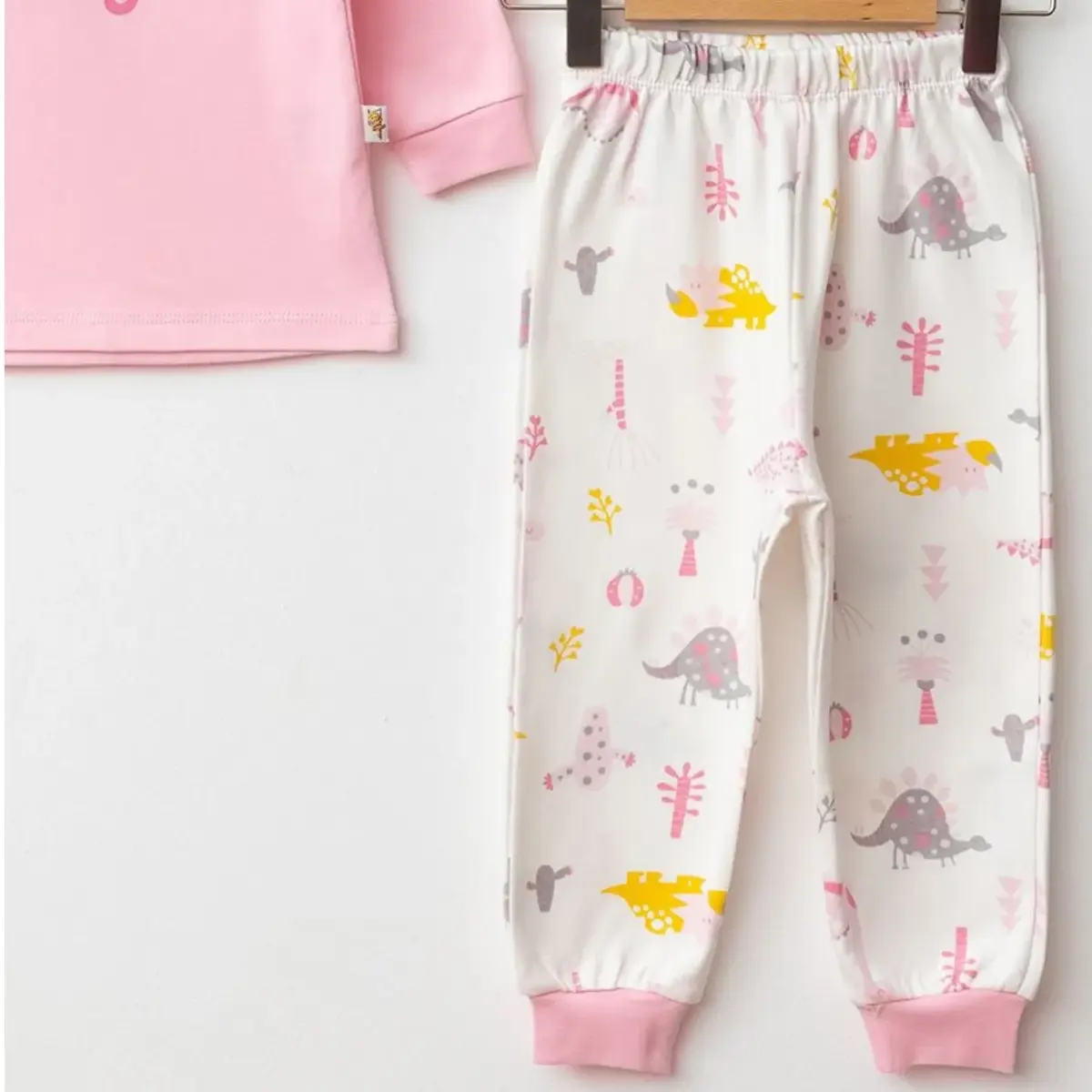 Mini Damla Pijama Takımı Penye Dino Baby Baskılı Pembe