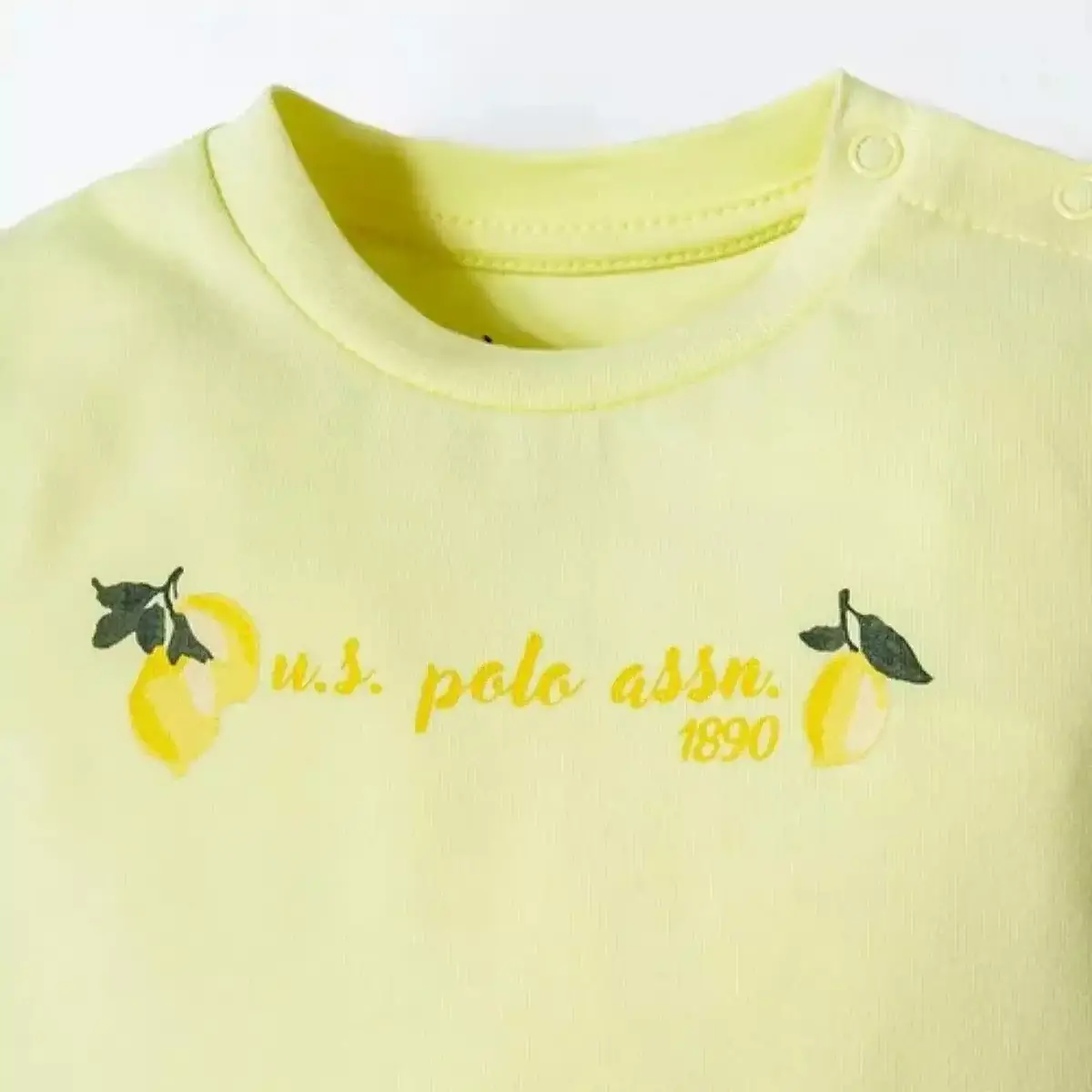 U.S. Polo 2li Takım Şortlu Sarı Sarı