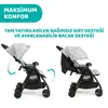 Chicco Ohlala İkiz Bebek Arabası Silver Cat