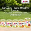 Hipp Organik Elma Püresi 125 gr x3
