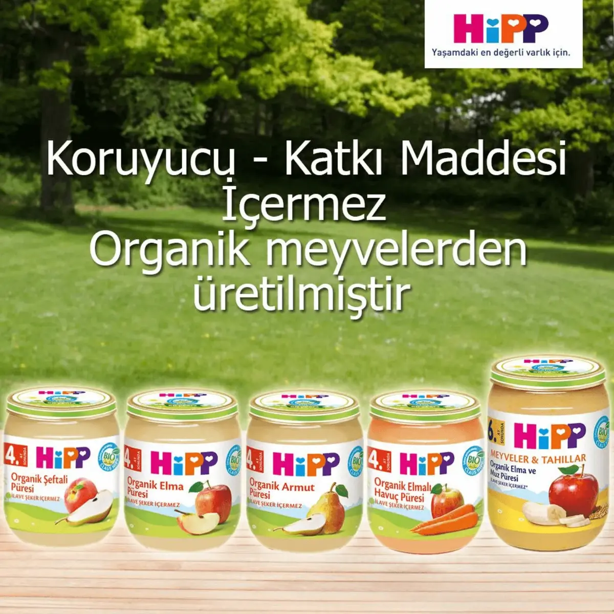 Hipp Organik Elma Püresi 125 gr x3