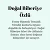 Evony Hijyenik Temizlik Mendili 3x15