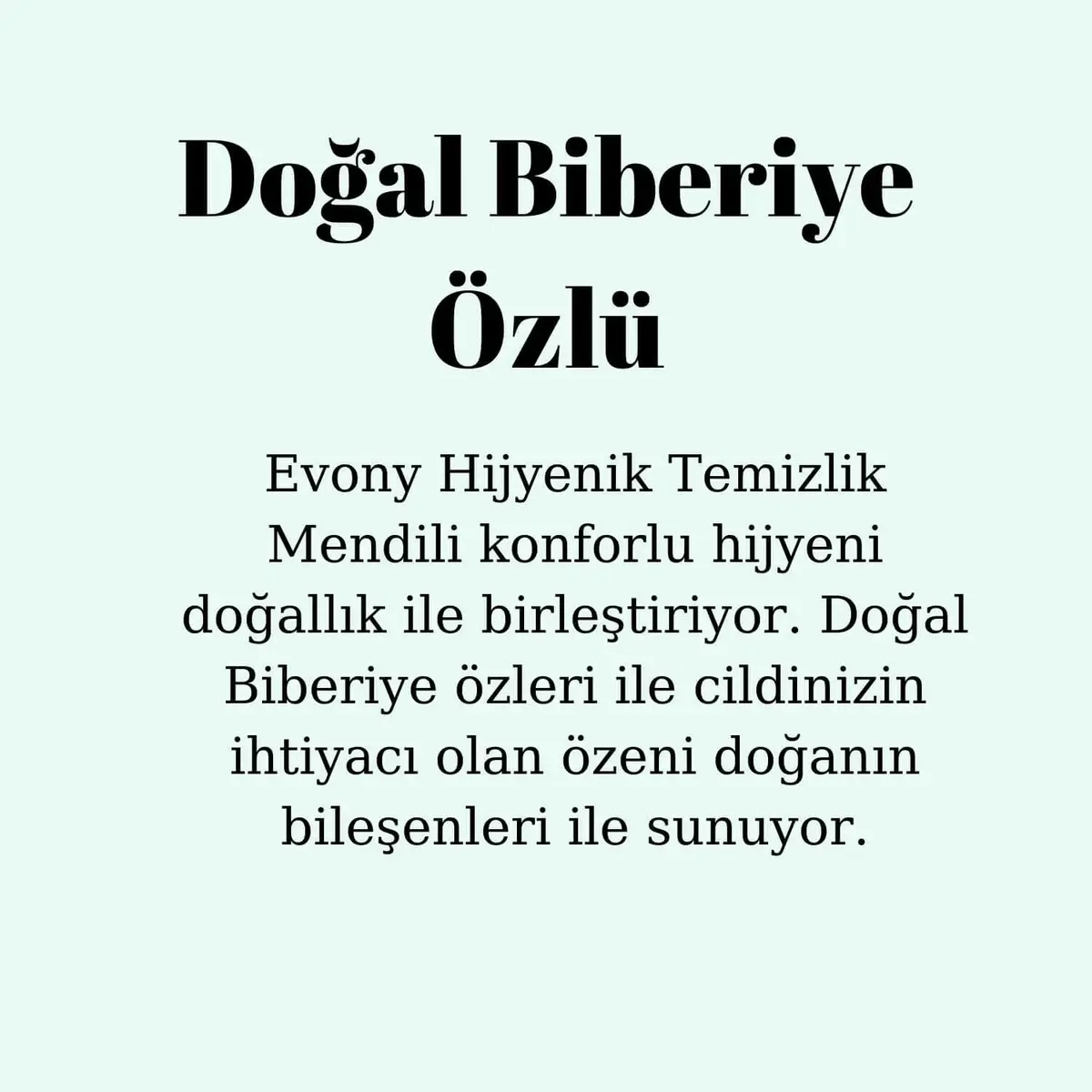 Evony Hijyenik Temizlik Mendili 3x15