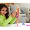 Barbie Büyük Hayaller Serisi Malibu Şarkıcı Bebek 