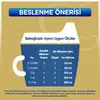 Bebelac Gold 1 Devam Sütü 350 gr 