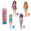 Barbie Color Reveal Renk Değiştiren Sürpriz Barbie Gökkuşağı Serisi