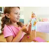 Barbie'nin Spa Günü Bebekleri