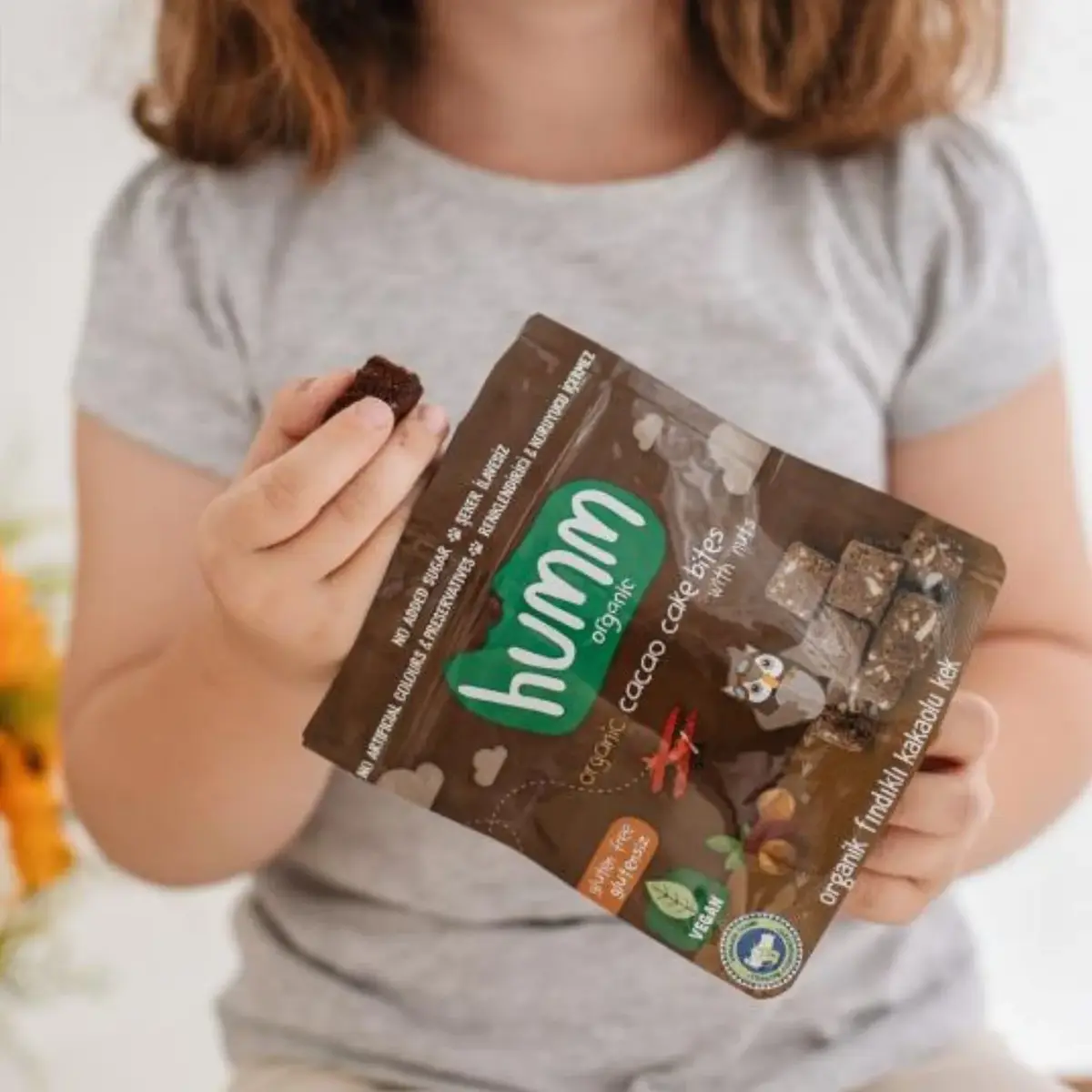 Organik Glutensiz Vegan Kakaolu ve Fındıklı Kek 30 gr