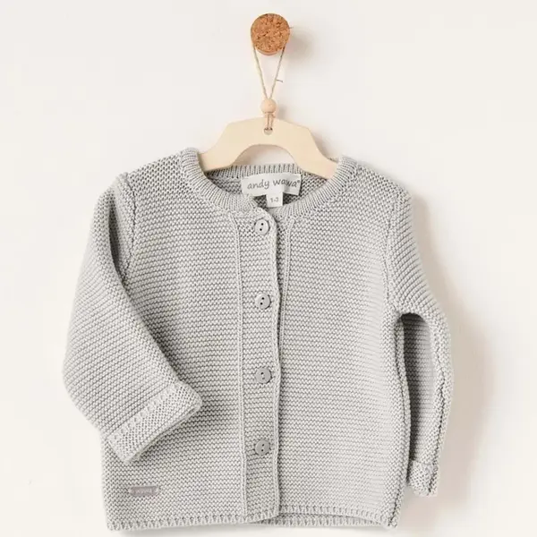 Andy Wawa Ceket Triko Basic  Gri Melanj