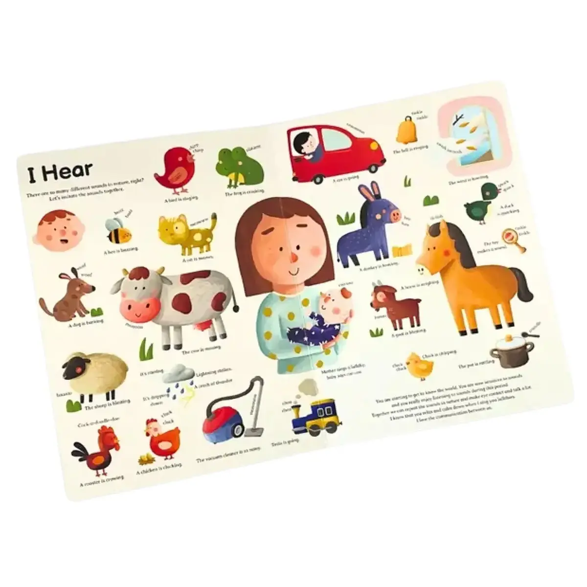 Genel Kültür Kitabım Büyüyorum İngilizce- I Grop Up